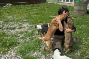 neues Tierheim 4 neues Tierheim 4