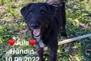 Jule Jule