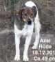 Axel sucht seinen Futterpaten
