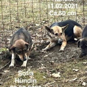 Sofia und Maja Sofia und Maja