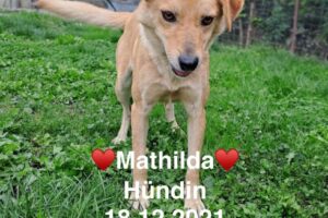 Mathilda Mathilda